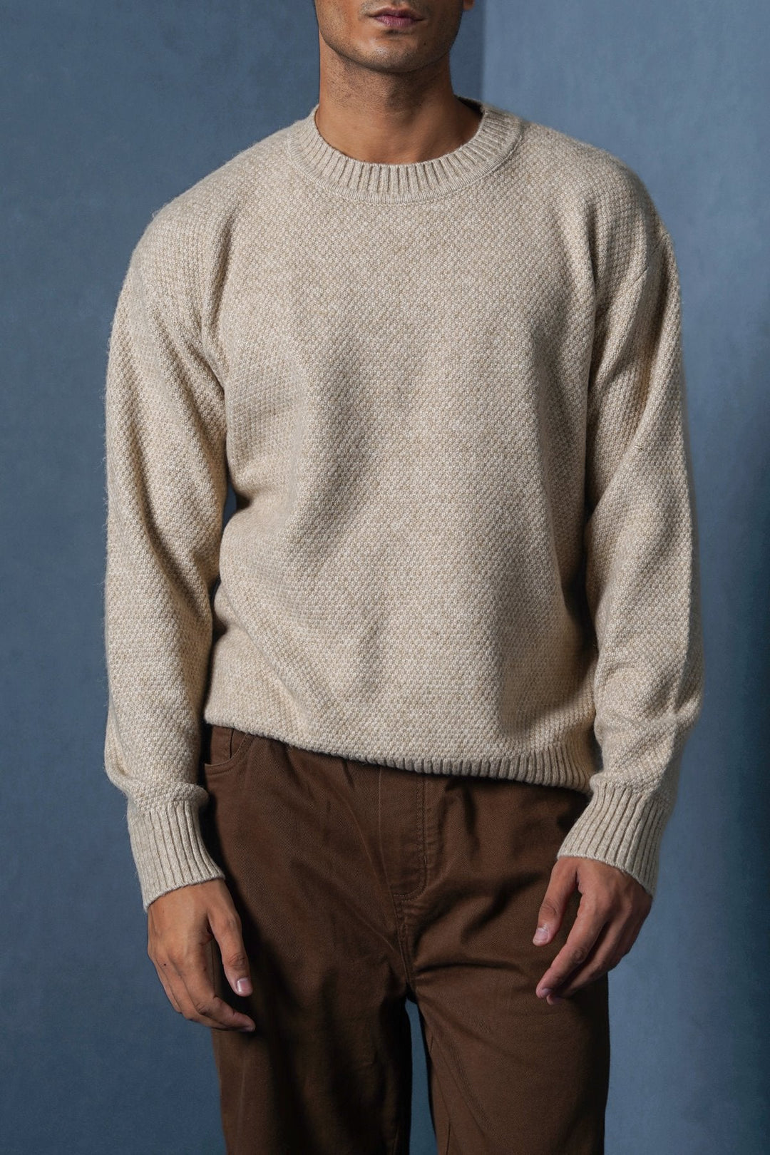 BEIGE SOFT-BRUSHED SWEATER