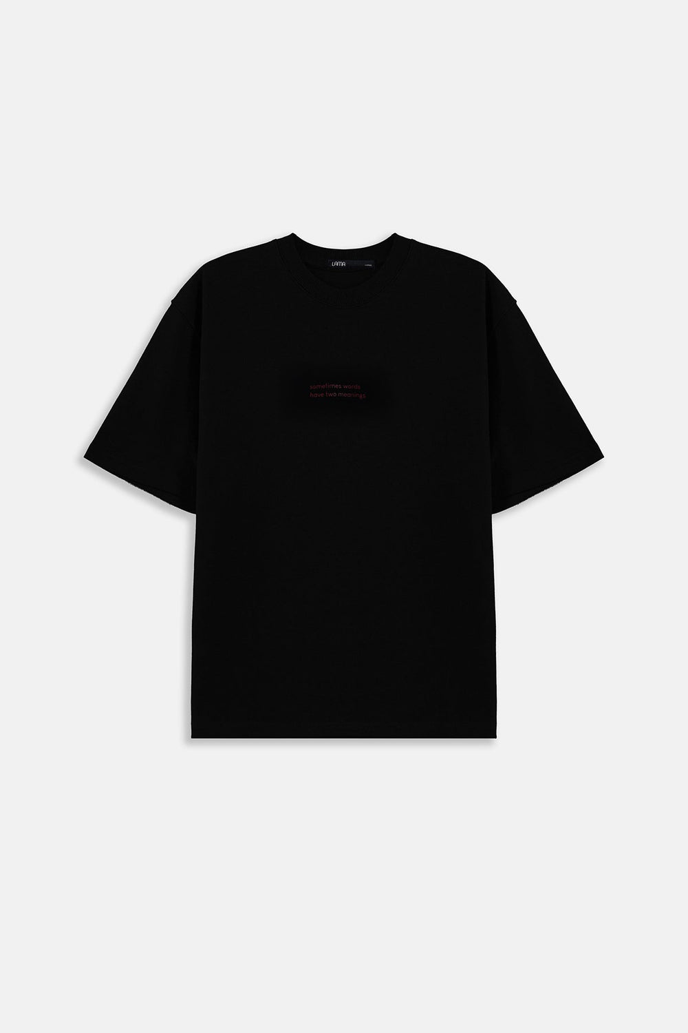 BLACK-WORDS HAVE TWO MEANINGS TEE
