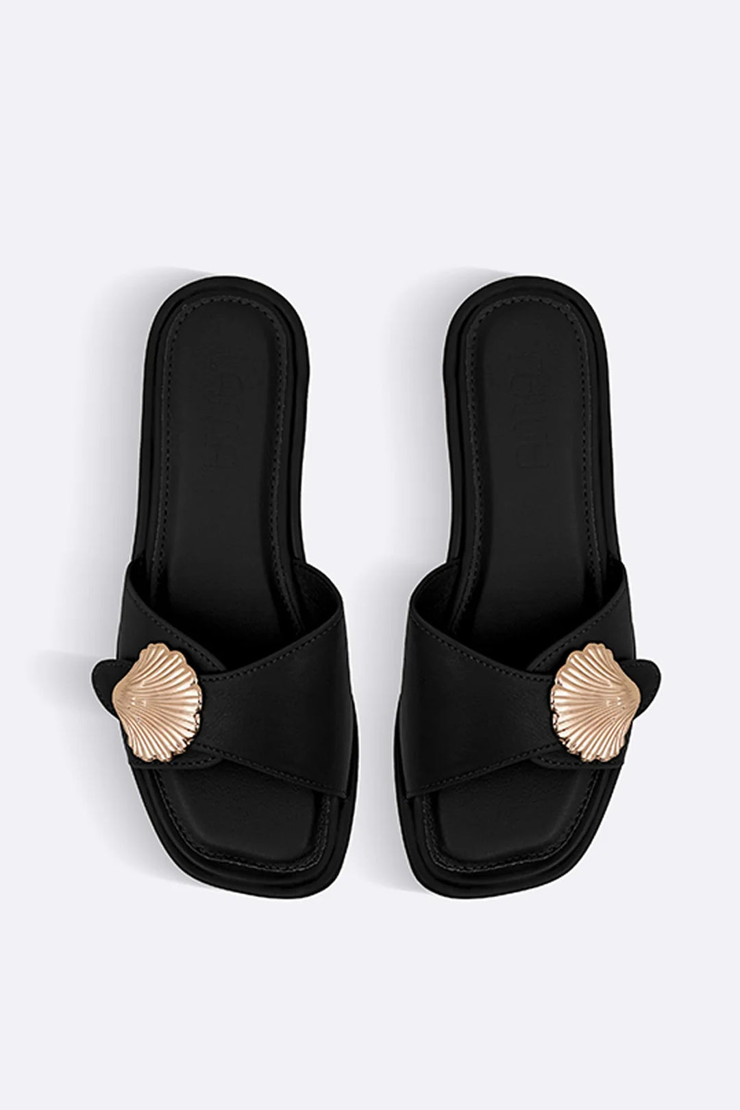 BLACK-SEASHELL-SLIDES