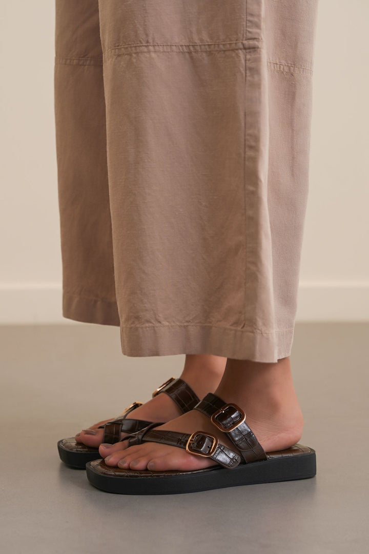 COFFEE SAND DUNE SLIDES