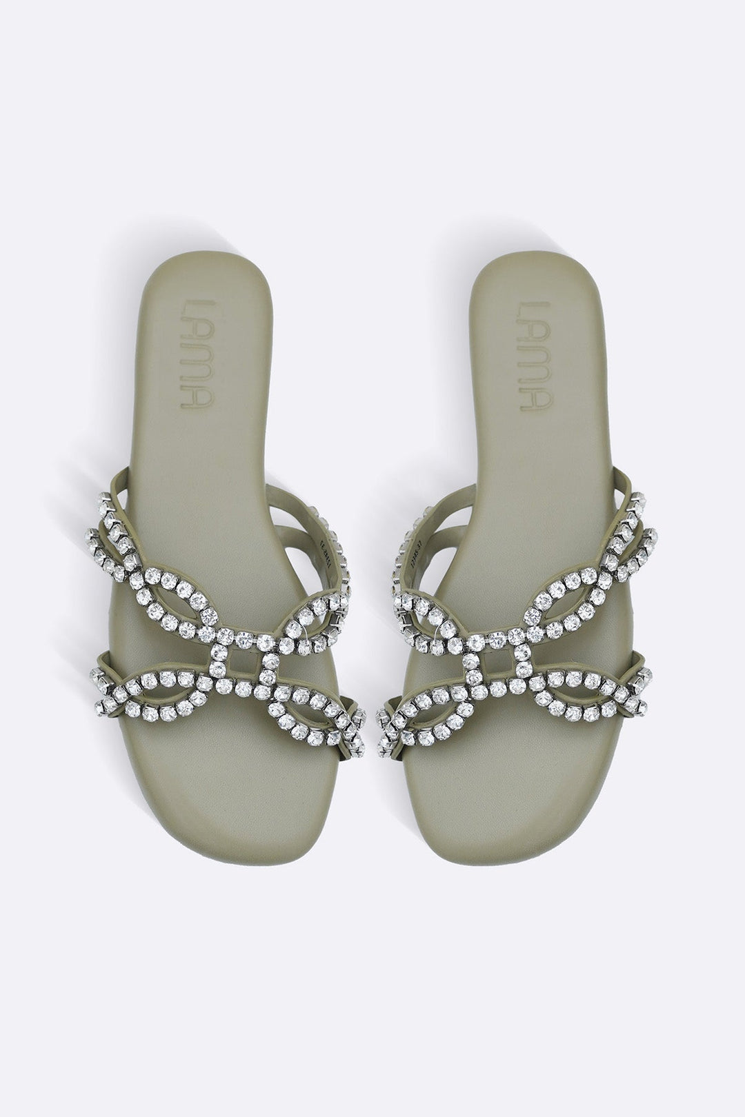 OLIVE CLOVER PARTY SLIDES
