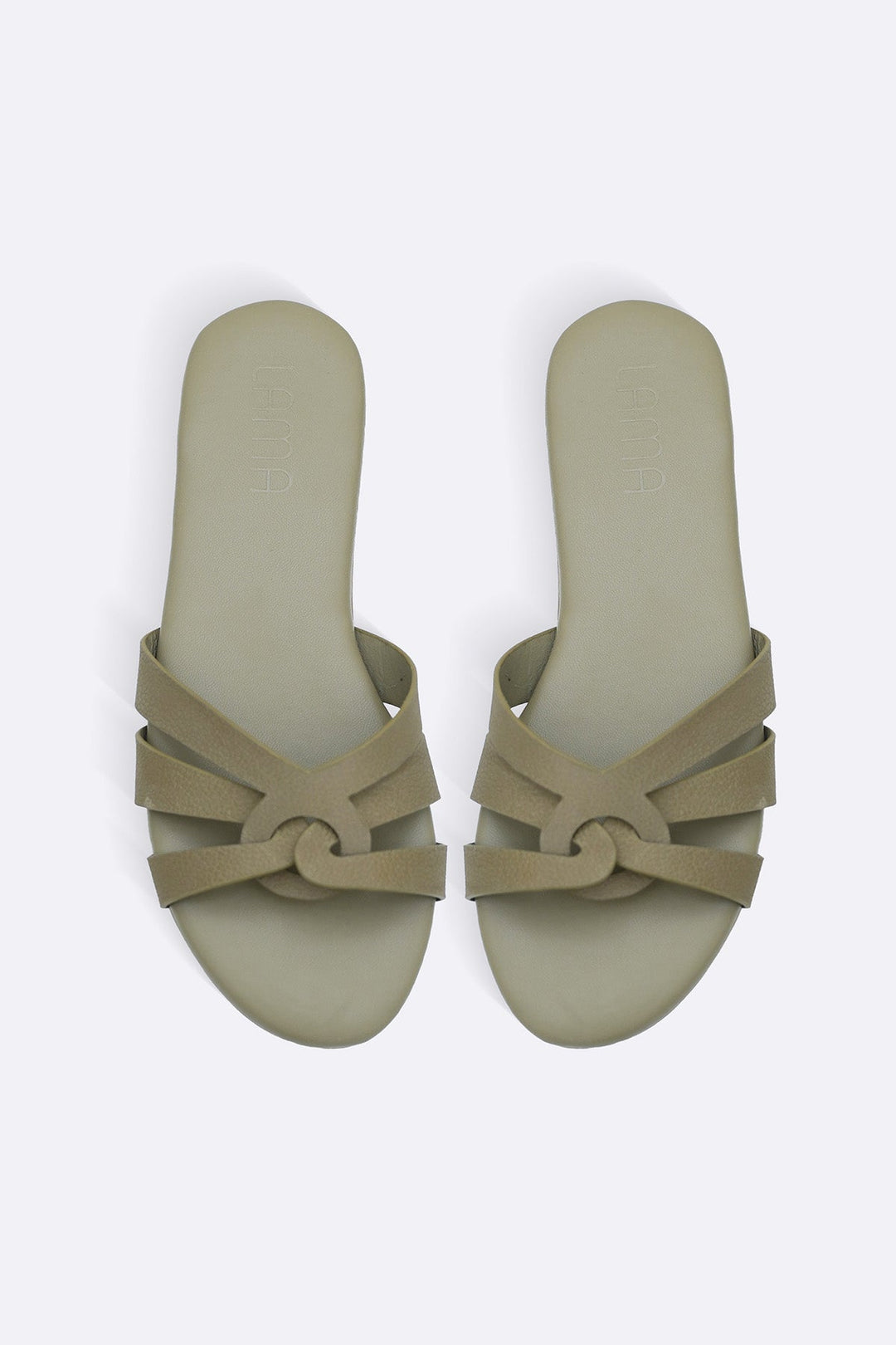 OLIVE RENO DAY SLIDES